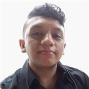 Consultor de la Power Platform te enseña Power Automate, Power Apps, SharePoint y/o Dataverse